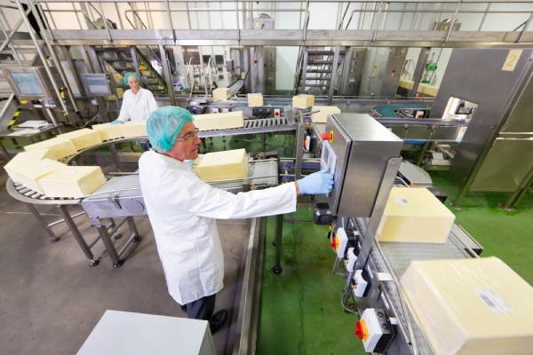 Food & Beverage Automation